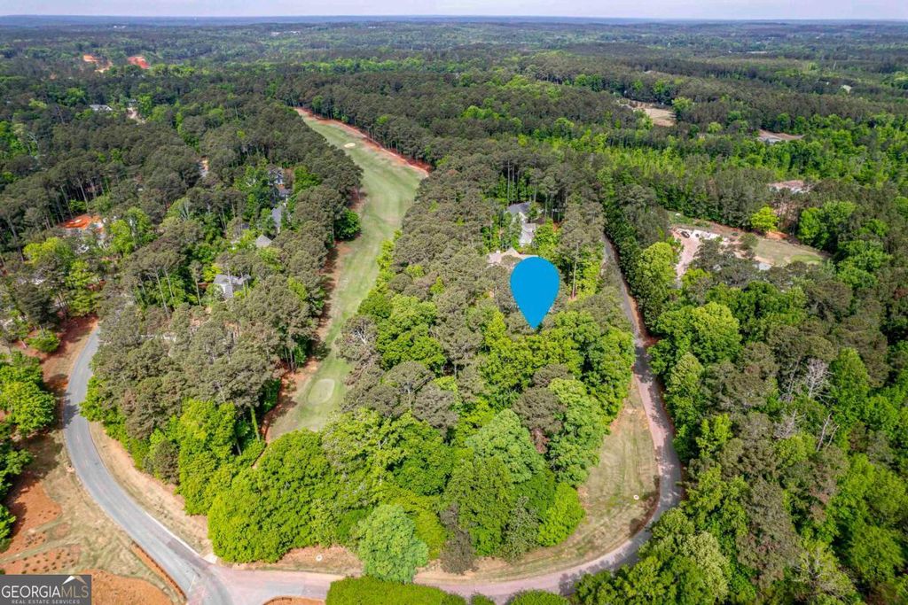 Photo of 1010 Quaker Ridge Road, Greensboro, GA 30642 (MLS # 10756094)