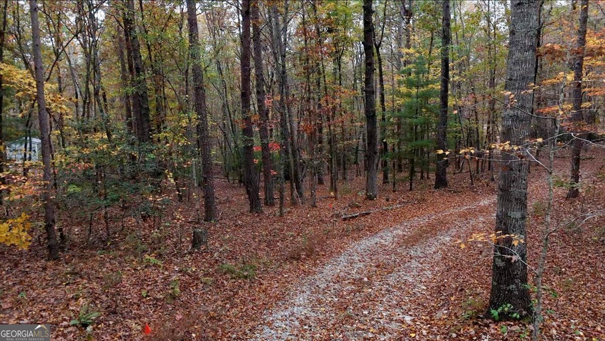 Welcome to your perfect haven nestled in country tranquility! This expansive 2.66-acre lot, located in the nature-rich landscape of Dawsonville, GA, is the ideal canvas to design your dream home - without HOA constraints! This prime piece of land is a peaceful retreat that's just a stone's throw away from the Dahlonega square, Dawsonville outlets, GA 400, Amicalola Falls, the new medical center, and countless wineries. Immerse yourself in the beauty of nature and enjoy the convenience of nearby restaurants and shopping, just a short drive away. Envision building your home between 1293 and 1321 Rider Rd, Dawsonville, GA 30534. Rest assured, upon development, an official street/house number will be assigned by the county. Lay down your roots amid nature's beauty. Don't miss out on this prime opportunity to create your custom home! Soil test complete!