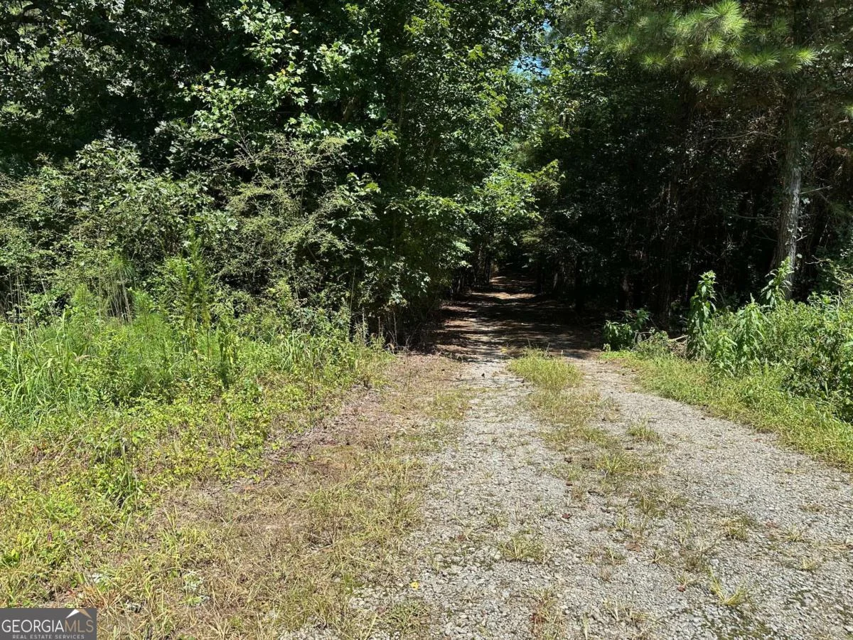 305 Wildcat Road, Buchanan, GA, 30113