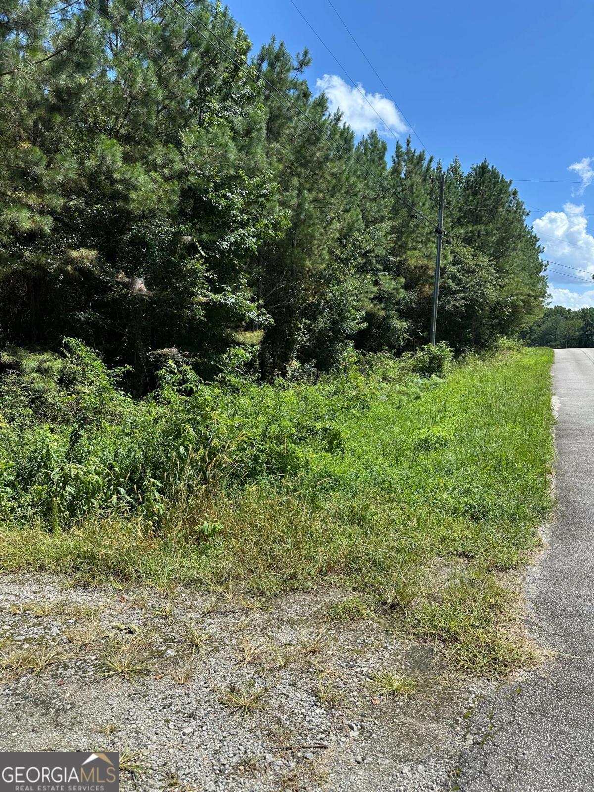 305 Wildcat RD