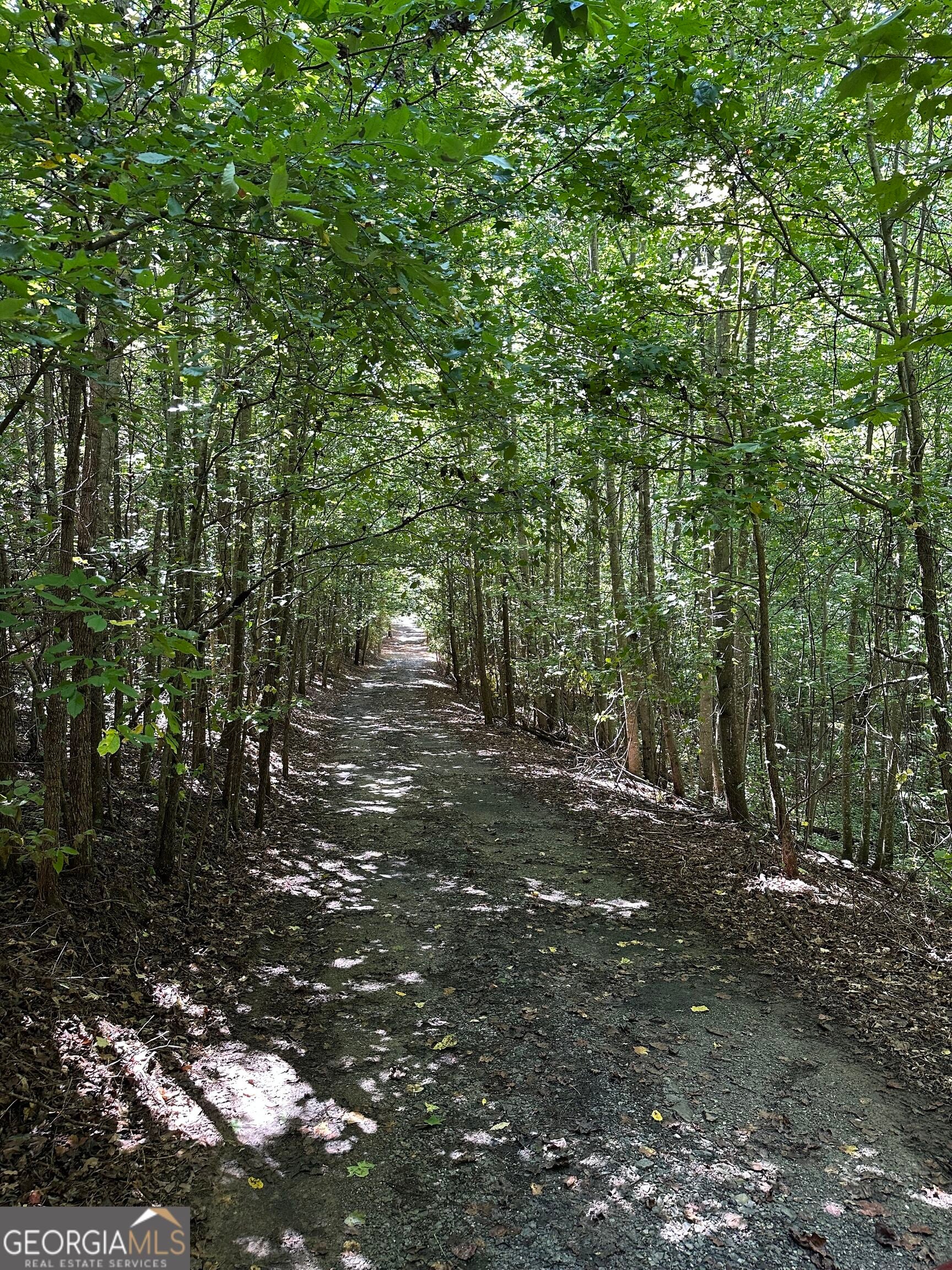 305 Wildcat RD