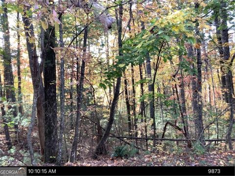 Photo of - Andros Court, Ellijay, GA 30540 (MLS # 10807746)