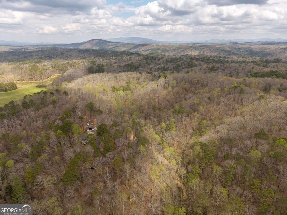 131 Nicholson LN