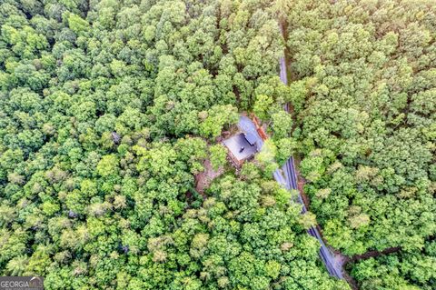 A home in Blue Ridge