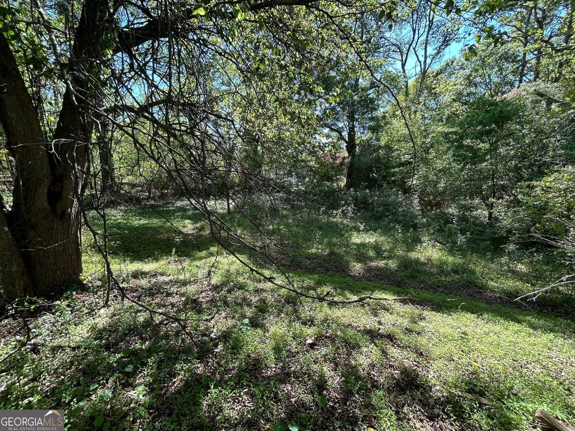 341 HARBINS RD