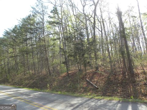 Photo of 1323 Seven Forks Road, Martin, GA 30557 (MLS # 10723694)