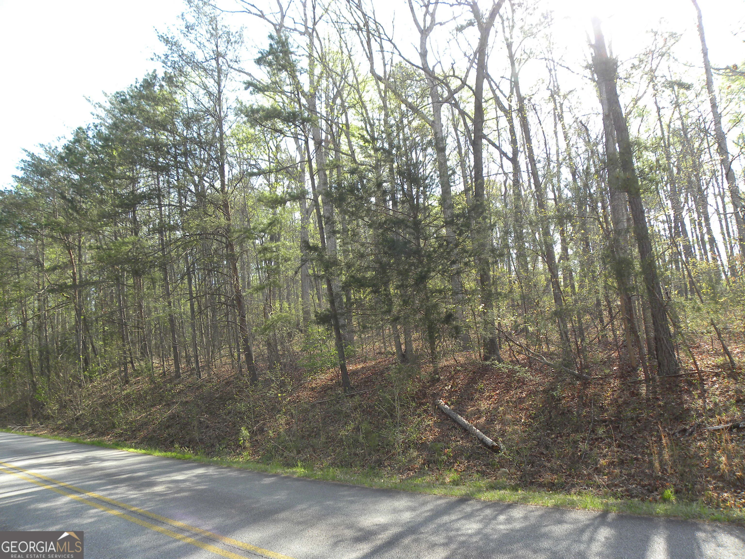 1323 Seven Forks Road