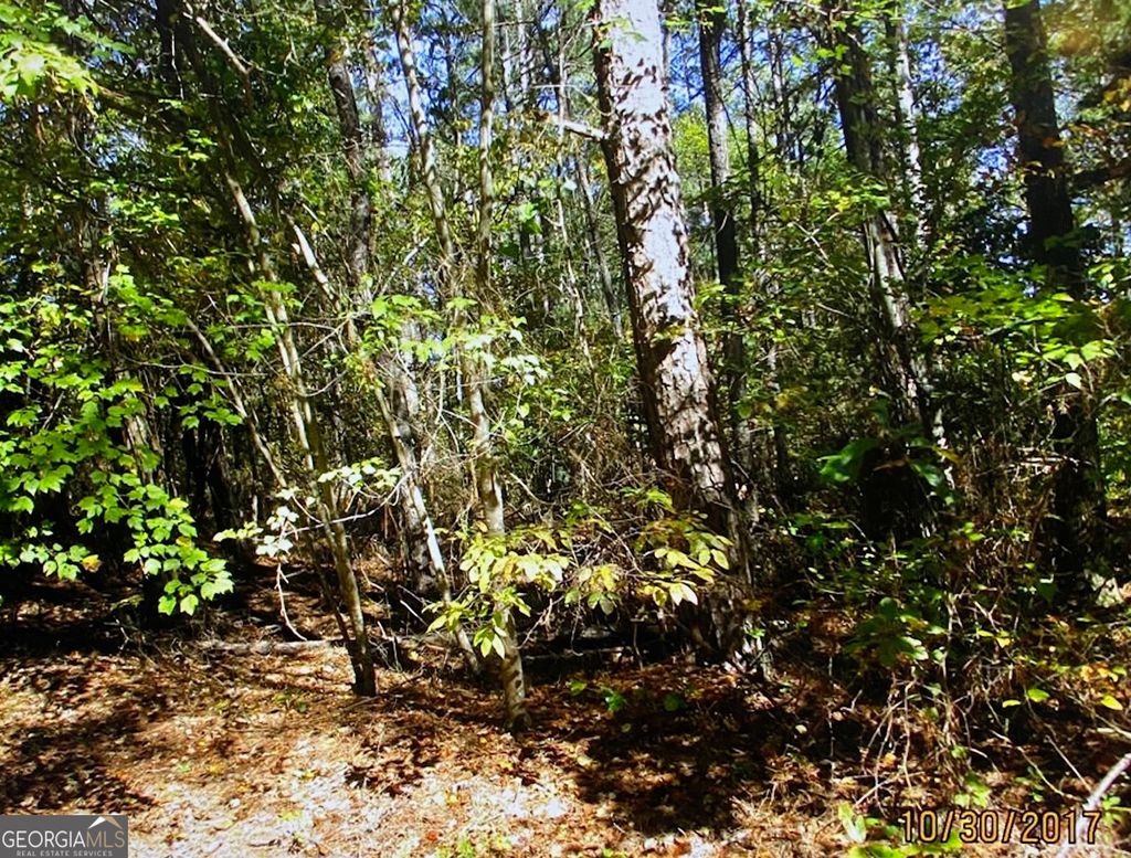 Photo of 1404 Northgate Drive, Villa Rica, GA 30180 (MLS # 10715415)