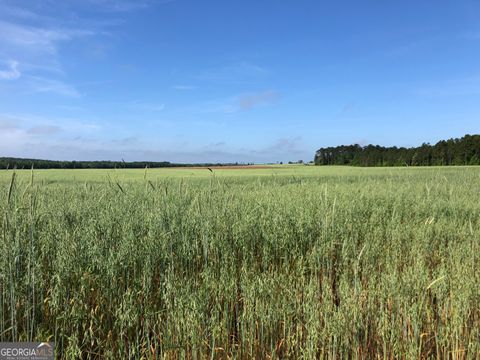 Photo of 0 Hwy 257, Chester, GA 31012 (MLS # 10564299)