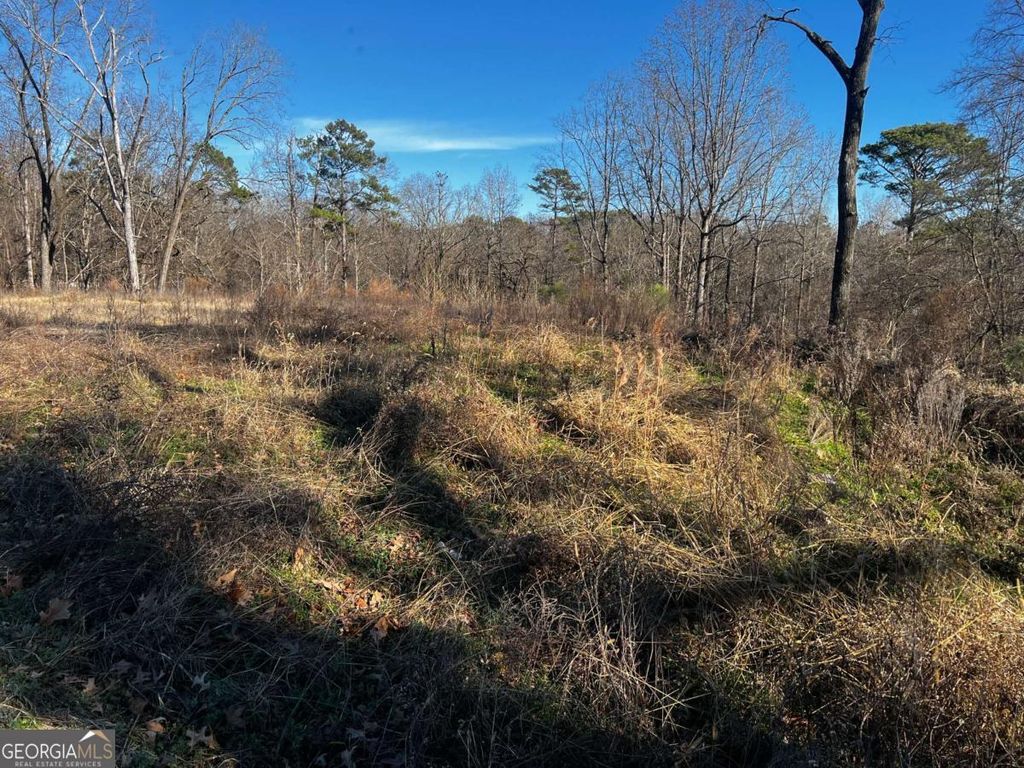 Photo of 3092 Miller Road, Lithonia, GA 30038 (MLS # 10663259)