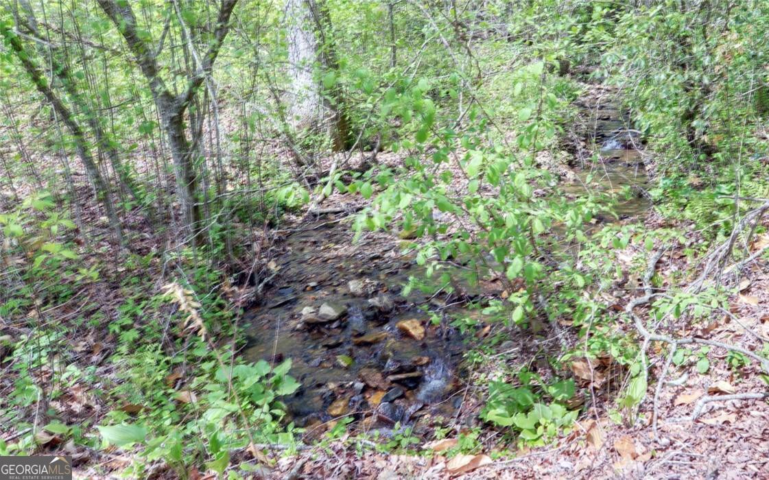 TRACT 2 Clayton Gooch RD