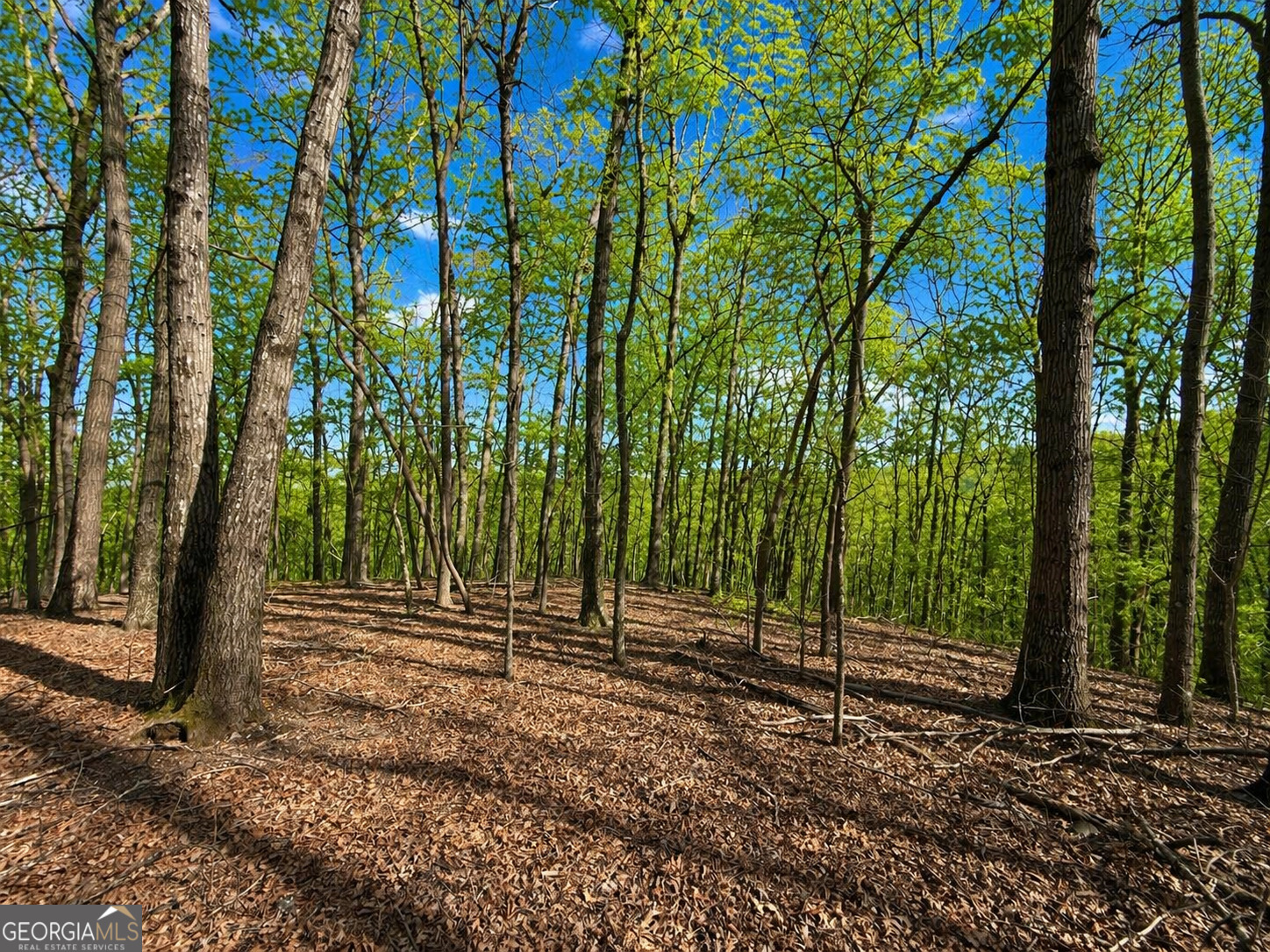 Photo 1 of 4 — 0 Burnt Mtn Cove RD, Jasper, GA 30143