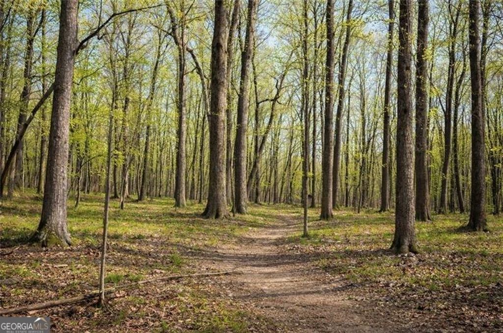 Photo of 0 Burnt Mtn Cove Road, Jasper, GA 30143 (MLS # 10737811)