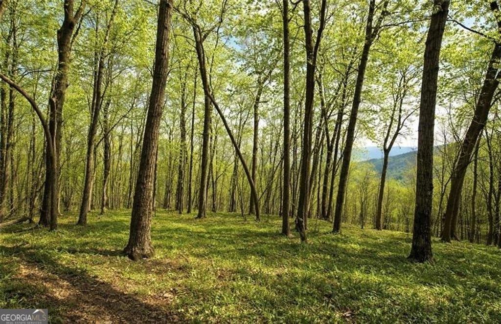 Photo of 0 Burnt Mtn Cove Road, Jasper, GA 30143 (MLS # 10737811)