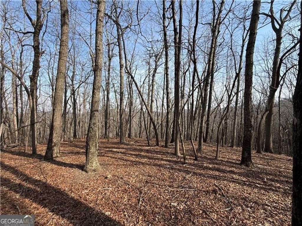 Photo of 0 Burnt Mtn Cove Road, Jasper, GA 30143 (MLS # 10737811)