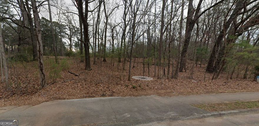 Plentiful Opportunity for a business or dream custom built home. The Property is currently zoned Residential but is located on the busy road of Powder Springs Rd. Buyers agent please verify any and all future information.