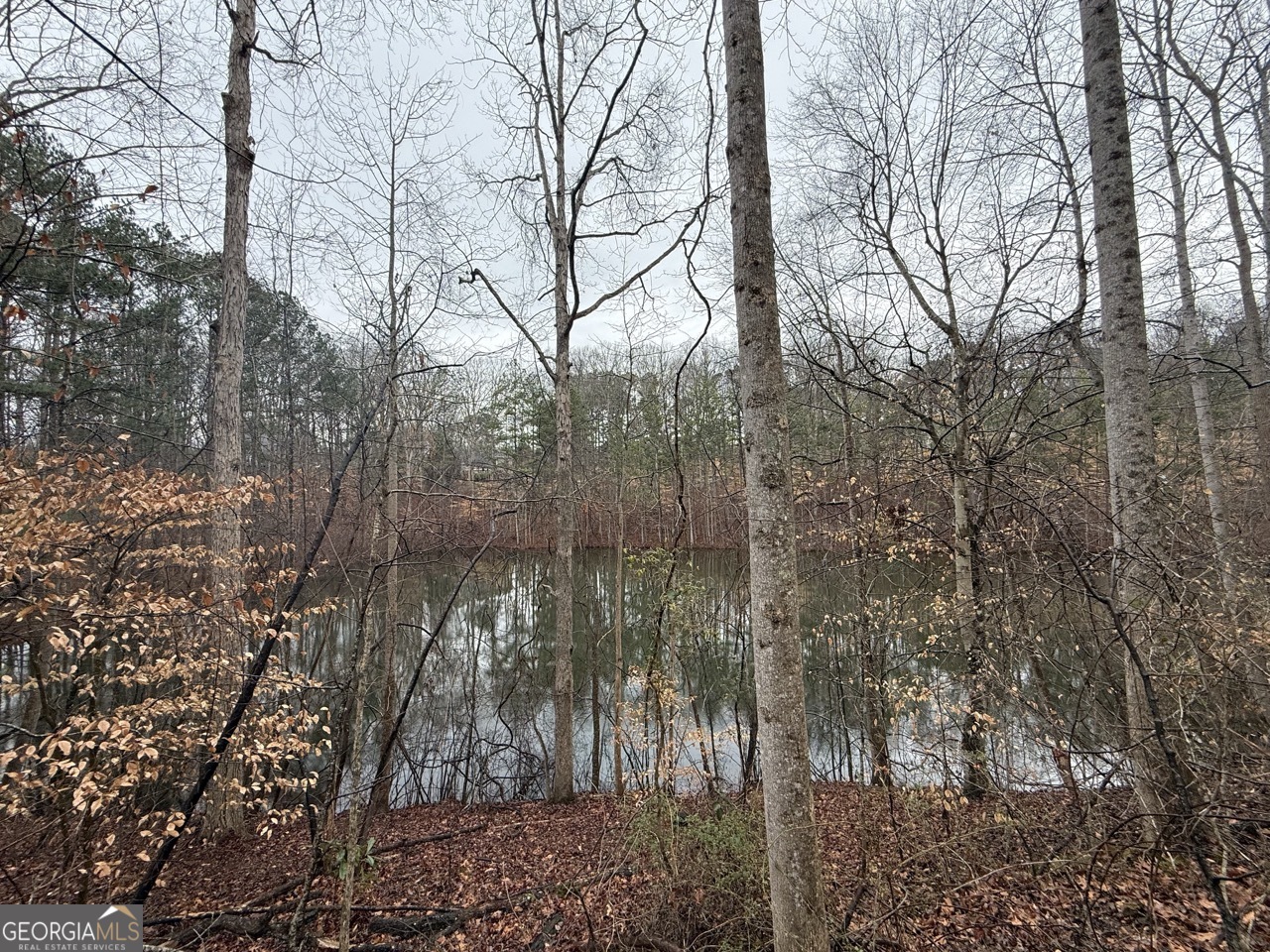 1670 Rock Springs LN