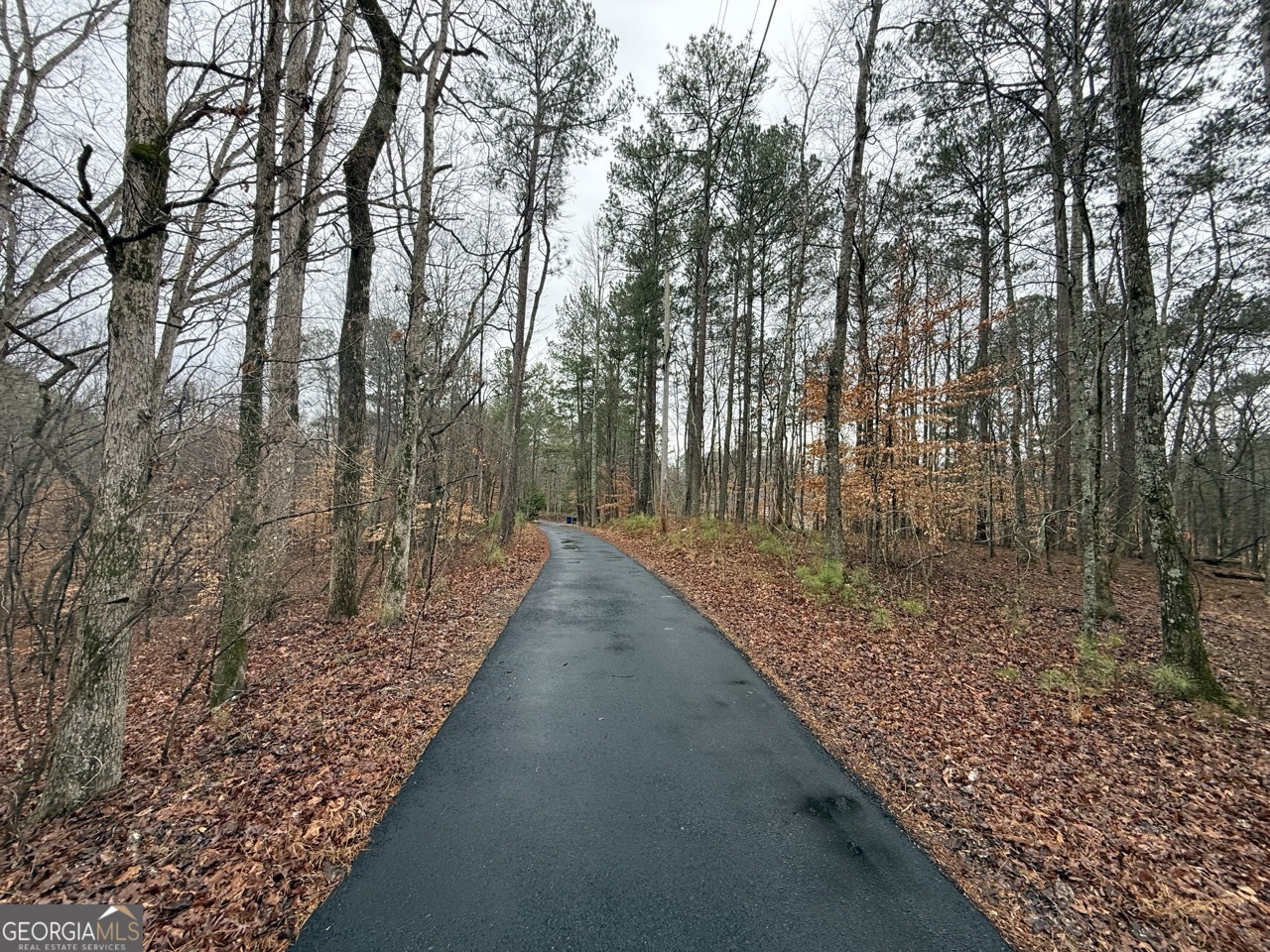 1670 Rock Springs LN