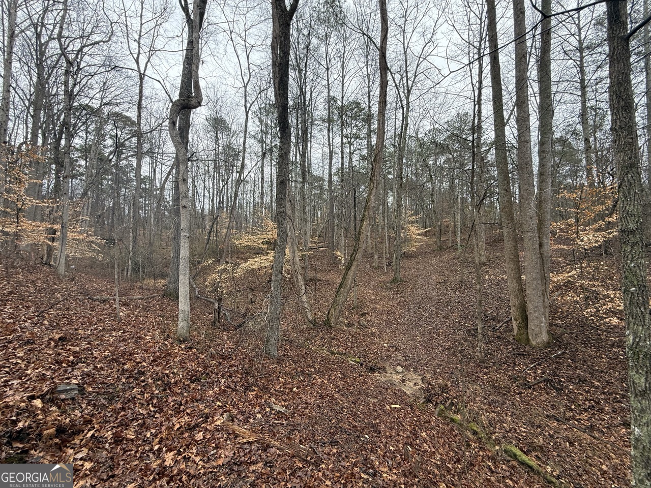 1670 Rock Springs LN