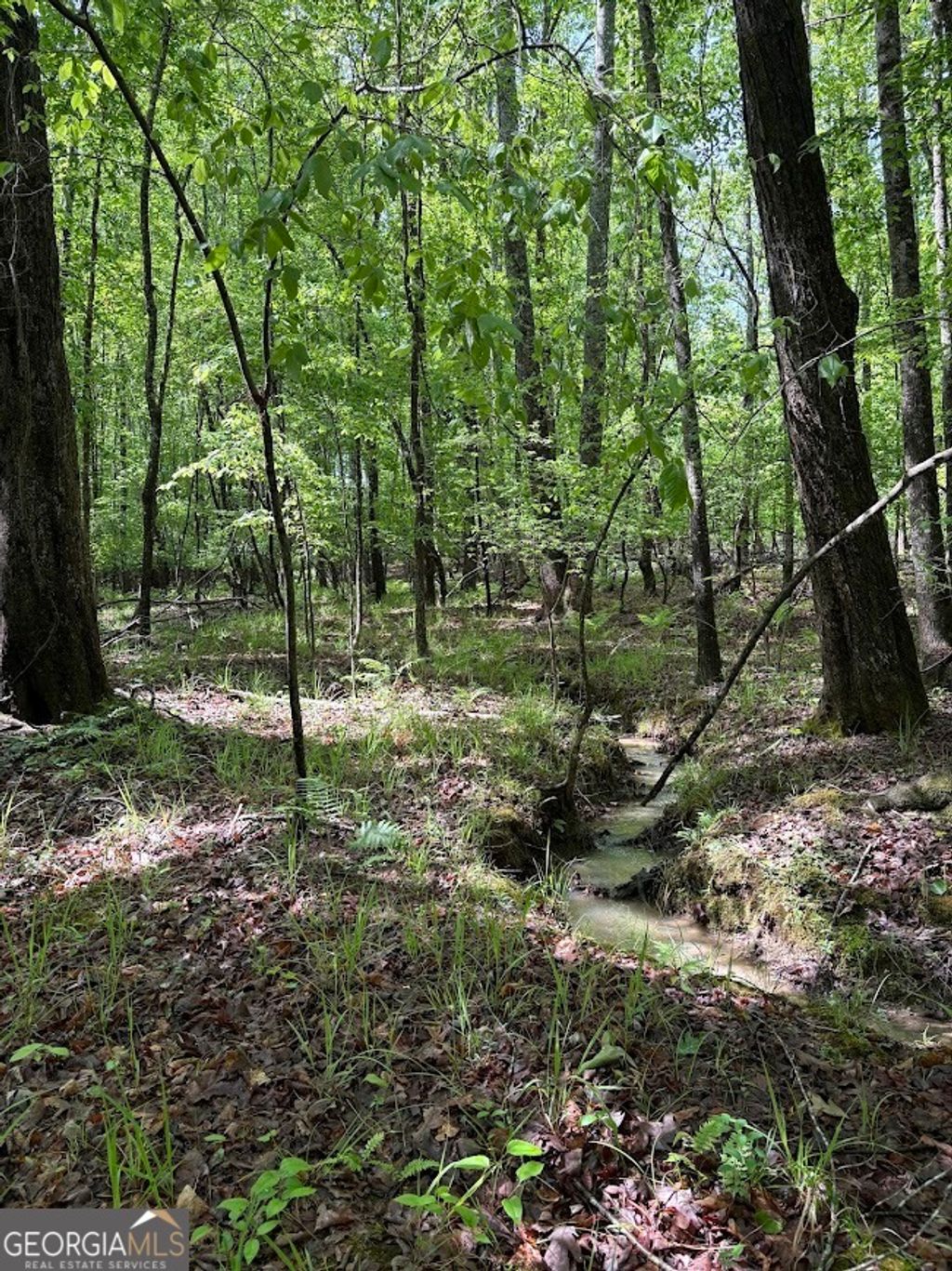 Photo of 0 Roy Dean Road, Buchanan, GA 30113 (MLS # 10755138)