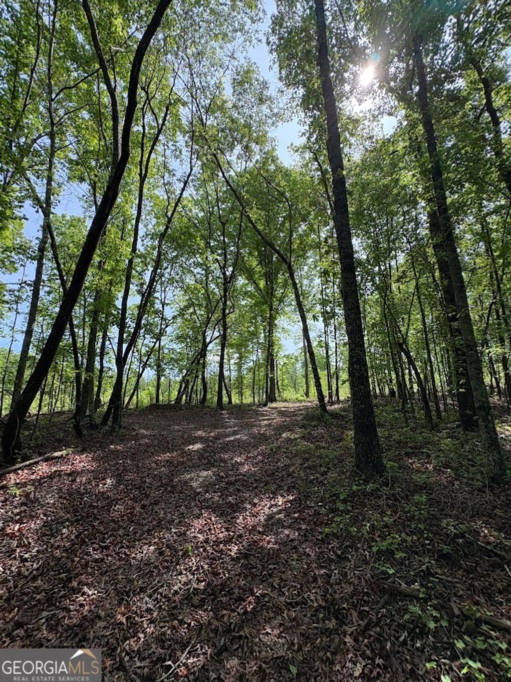 Photo of 0 Roy Dean Road, Buchanan, GA 30113 (MLS # 10755138)