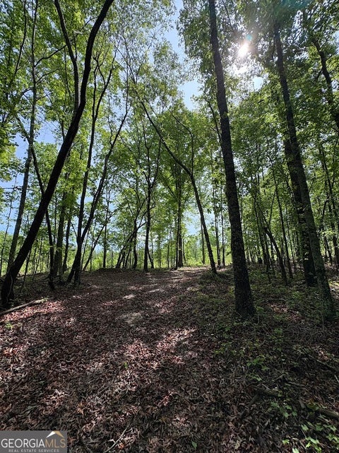 Photo of 0 Roy Dean Road, Buchanan, GA 30113 (MLS # 10755138)