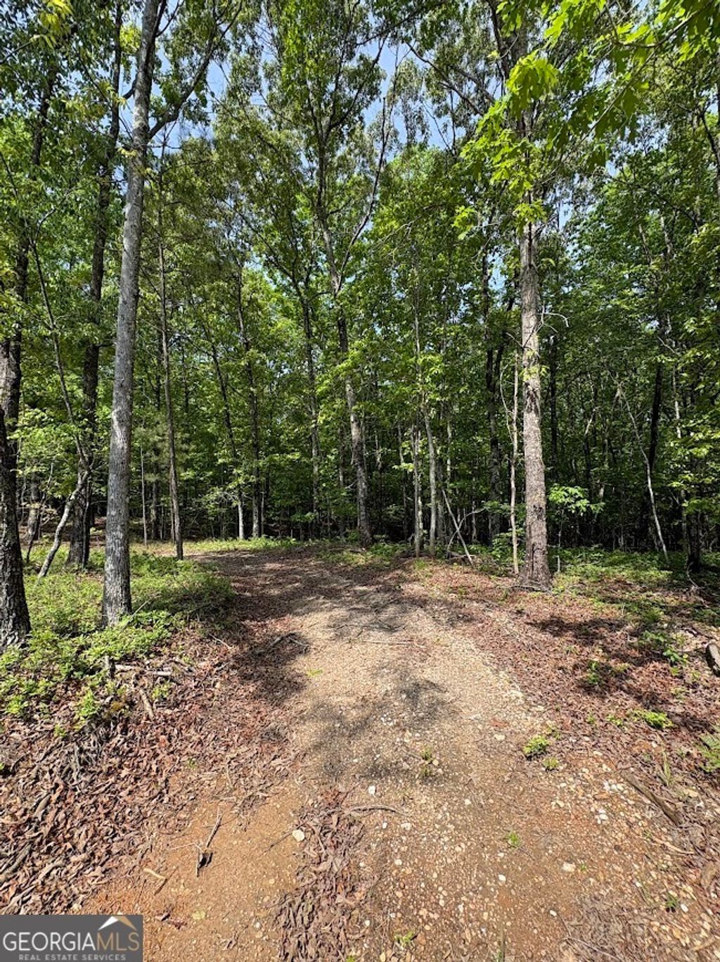 Photo of 0 Roy Dean Road, Buchanan, GA 30113 (MLS # 10755138)