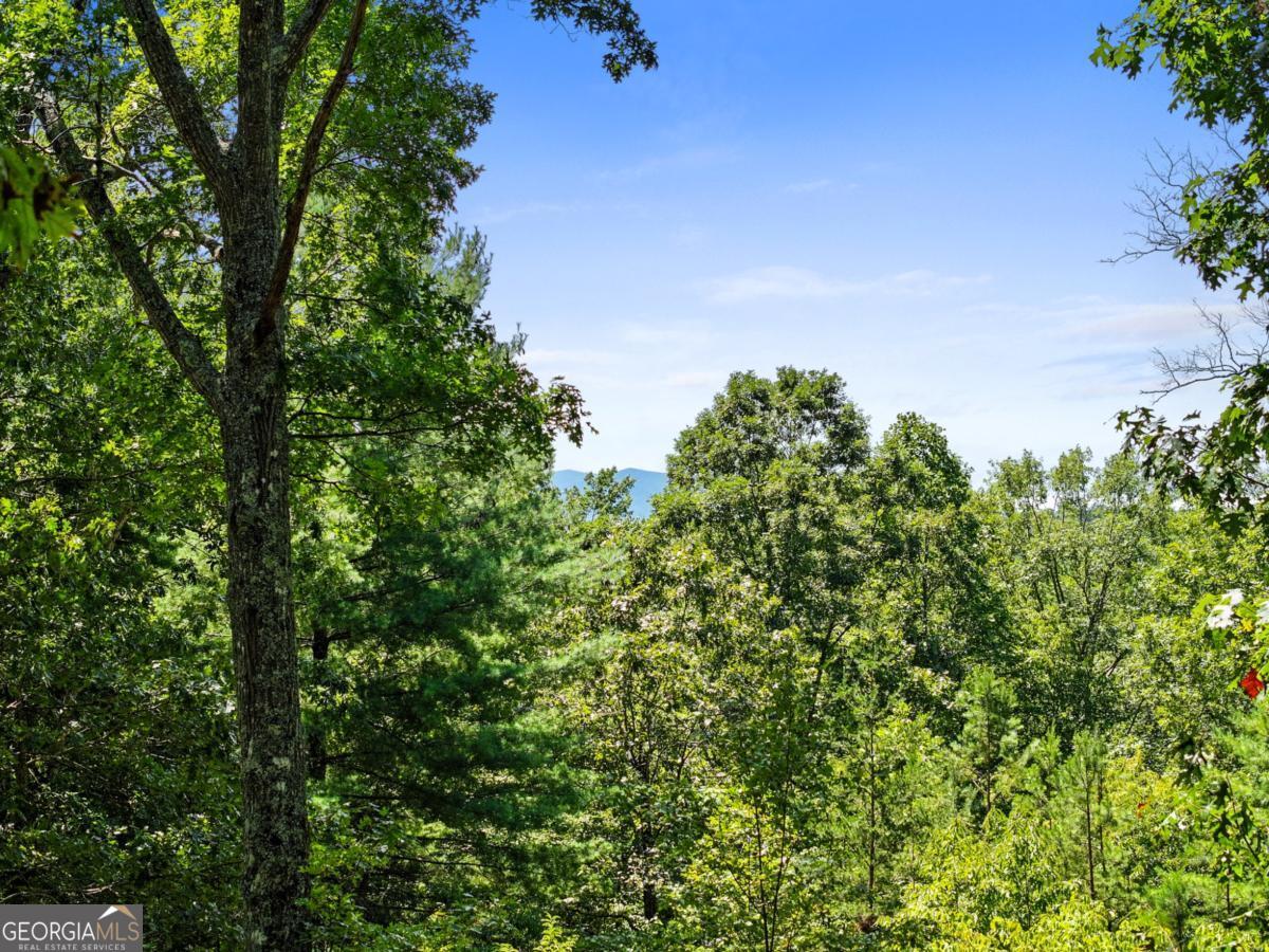 335 Meadowoods DR