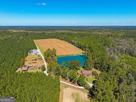 Photo of 991 Flatwoods Trail, Glennville, GA 30427 (MLS # 10869182)