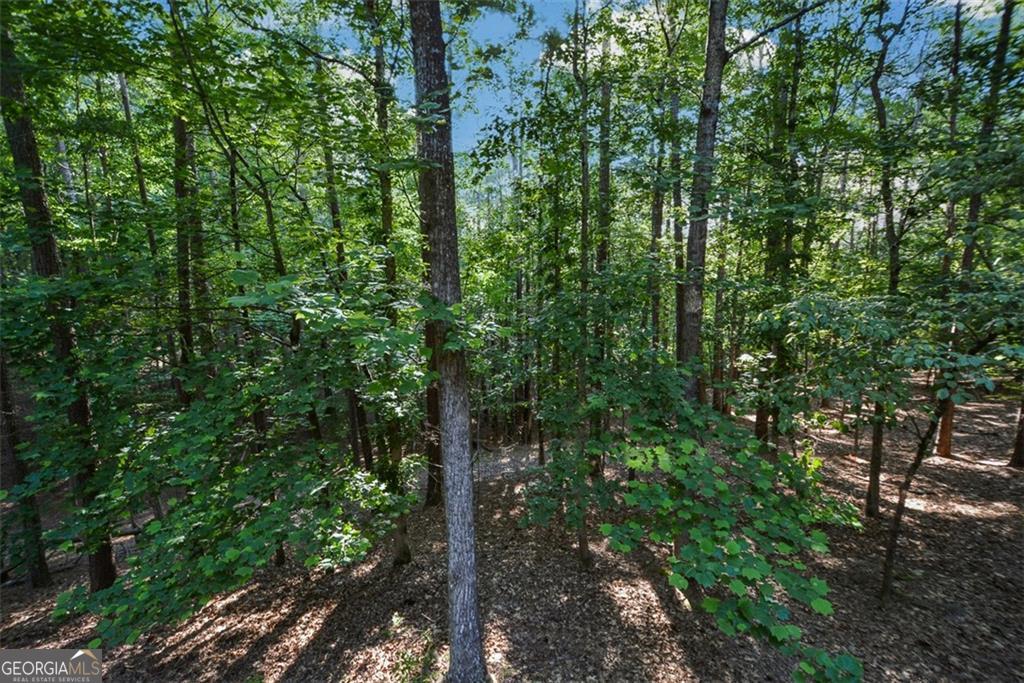 Eagle Watch - Residential