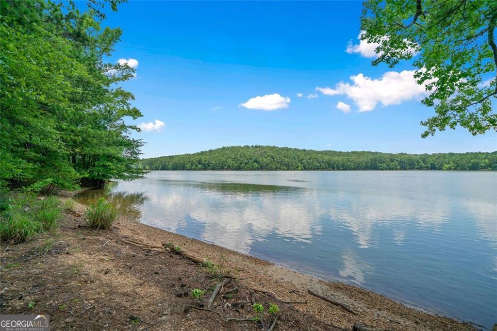 Eagle Watch - Residential