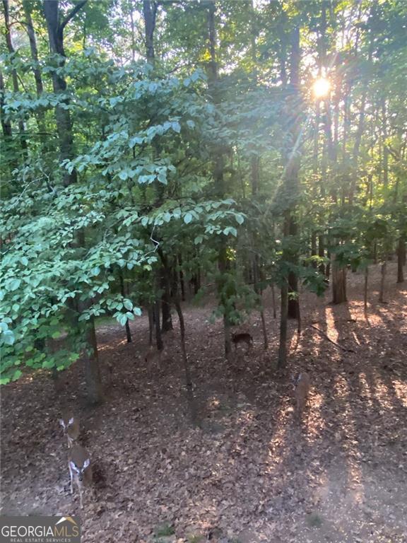 Eagle Watch - Residential