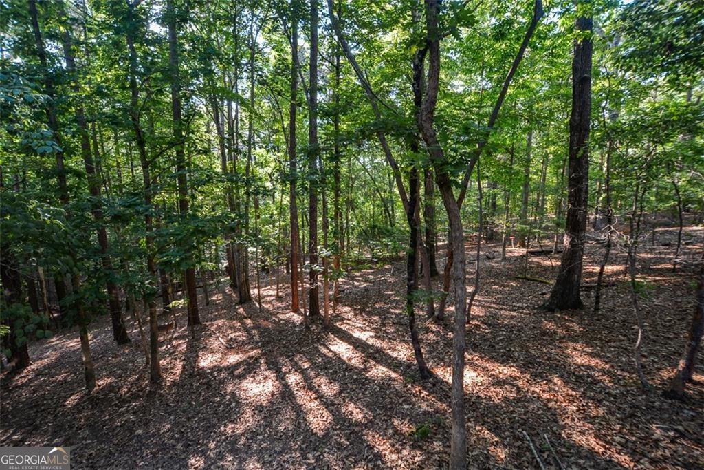 Eagle Watch - Residential