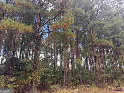 Photo for LOT 4 & 5 Limestone LNDG