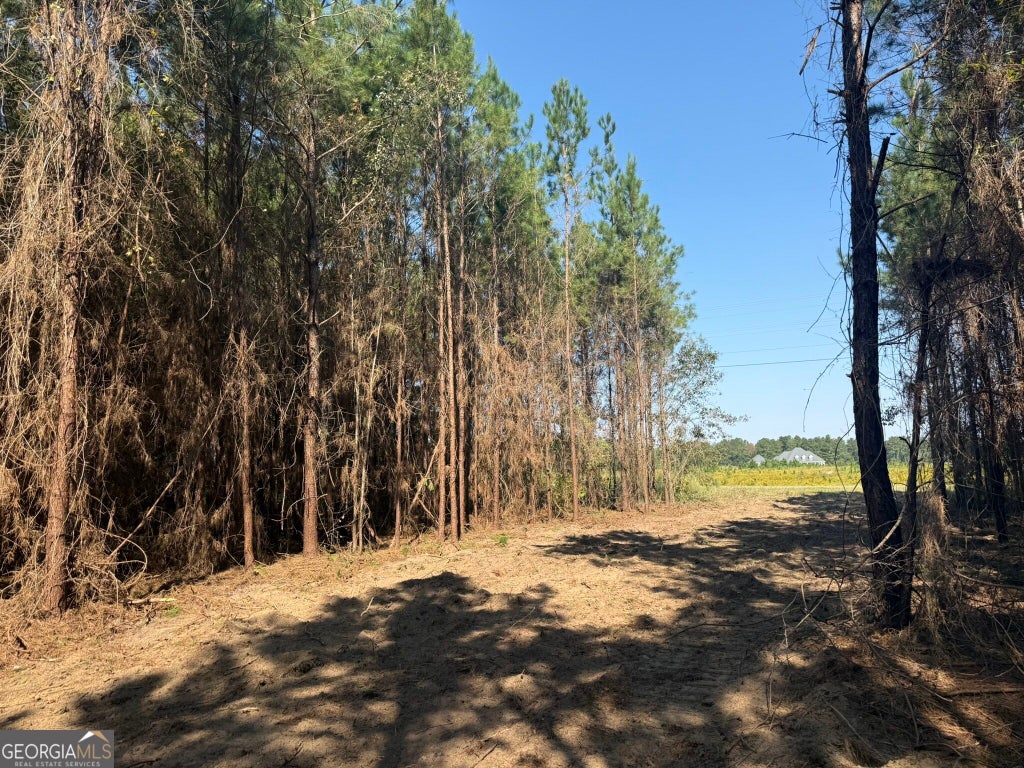 Photo of 21 216 Highway, Arlington, GA 39813 (MLS # 10875531)