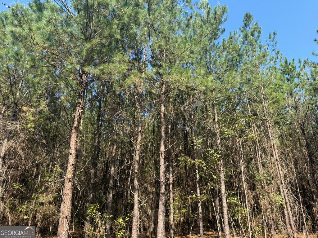 Photo of 21 216 Highway, Arlington, GA 39813 (MLS # 10875531)