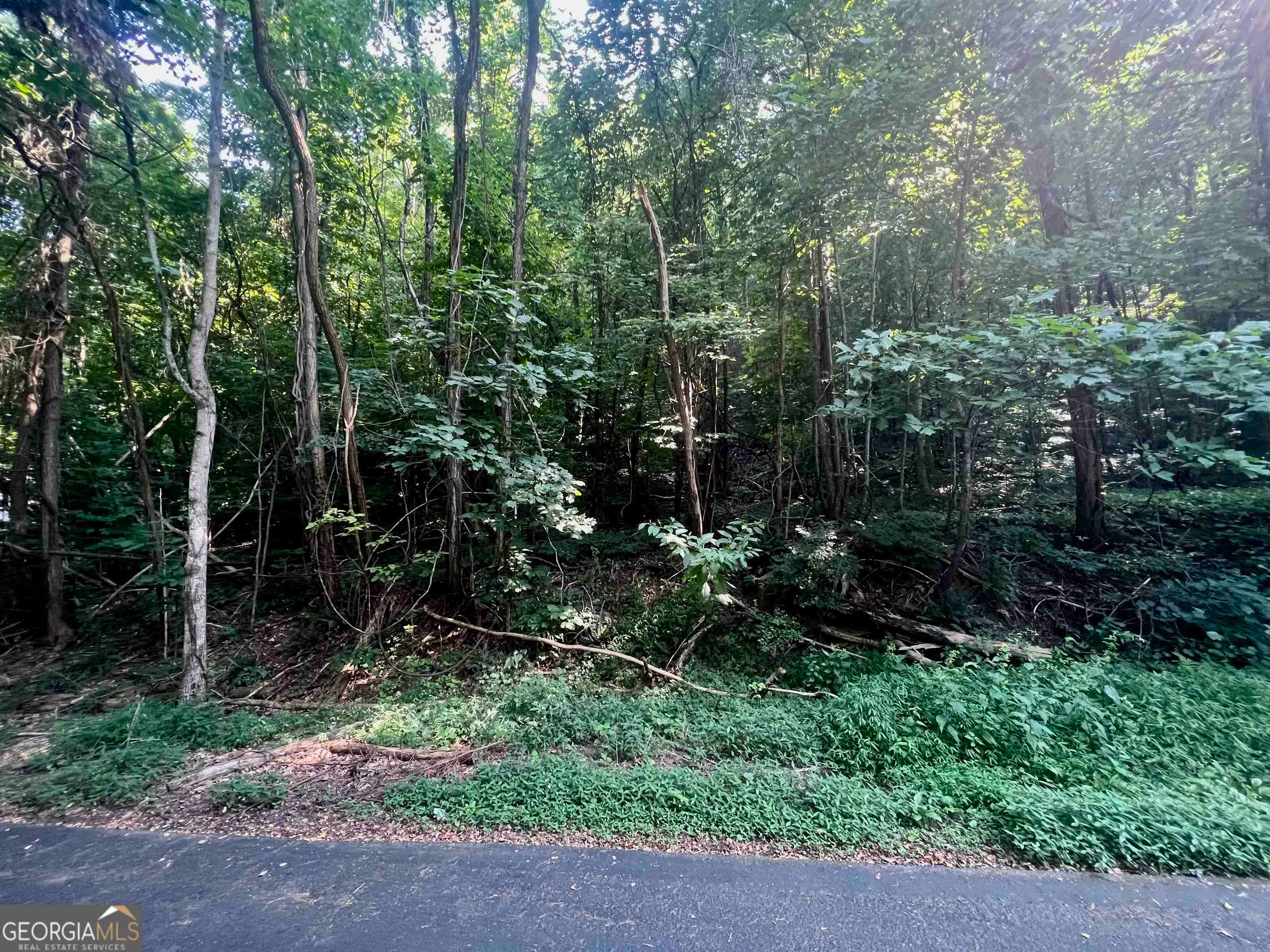 LOT 13 Chalet Drive, Sautee Nacoochee, GA, 30571