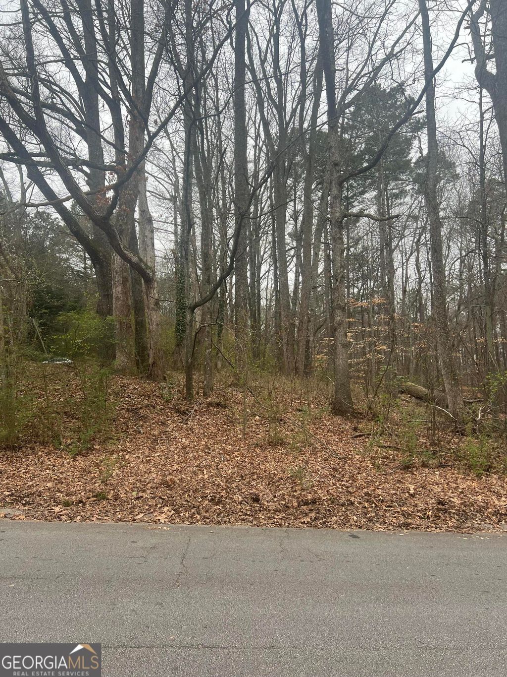 Photo of 3400 Coles Creek Drive, Buford, GA 30519 (MLS # 10705684)