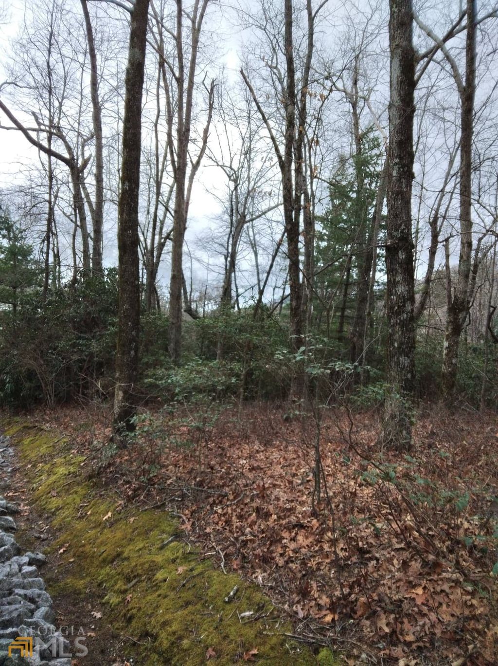 Photo of 1011 Honey Bear #LOT 10 &amp; 11, Dillard, GA 30537 (MLS # 10707496)
