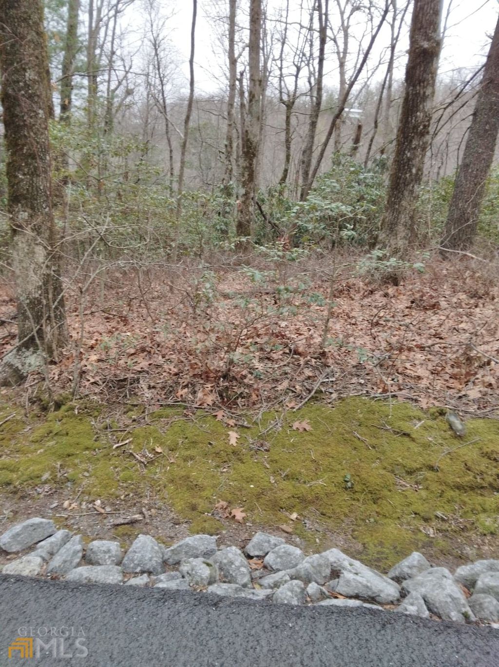 Photo of 1011 Honey Bear #LOT 10 &amp; 11, Dillard, GA 30537 (MLS # 10707496)