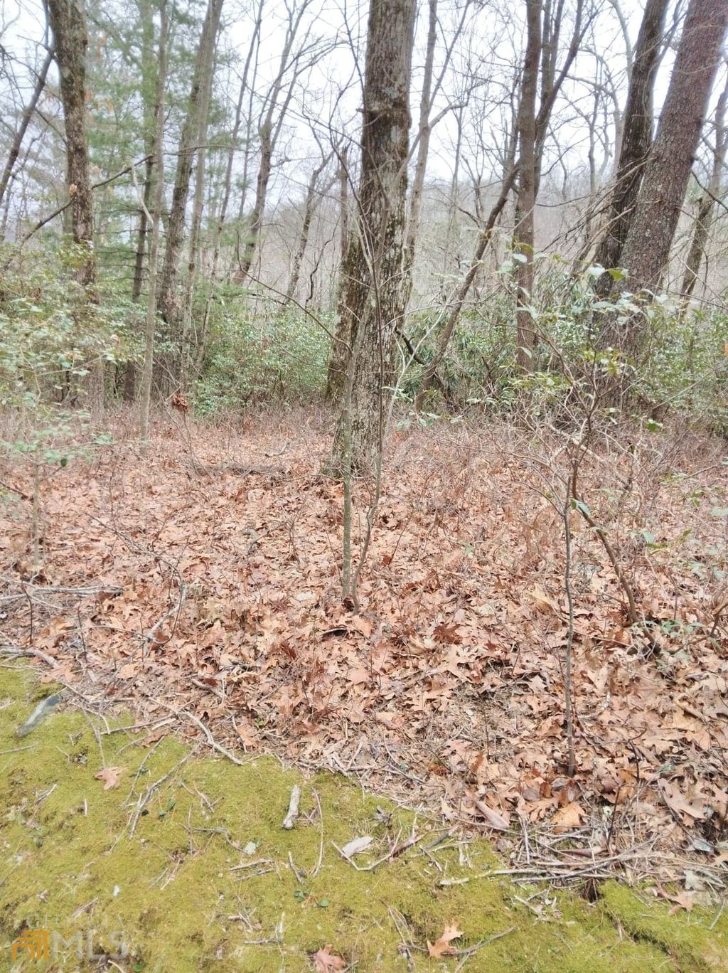 Photo of 1011 Honey Bear #LOT 10 &amp; 11, Dillard, GA 30537 (MLS # 10707496)
