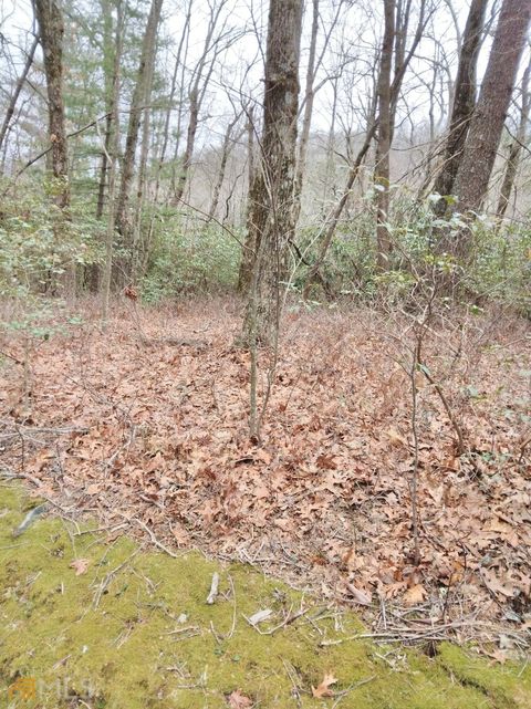 Photo of 1011 Honey Bear #LOT 10 & 11, Dillard, GA 30537 (MLS # 10707496)
