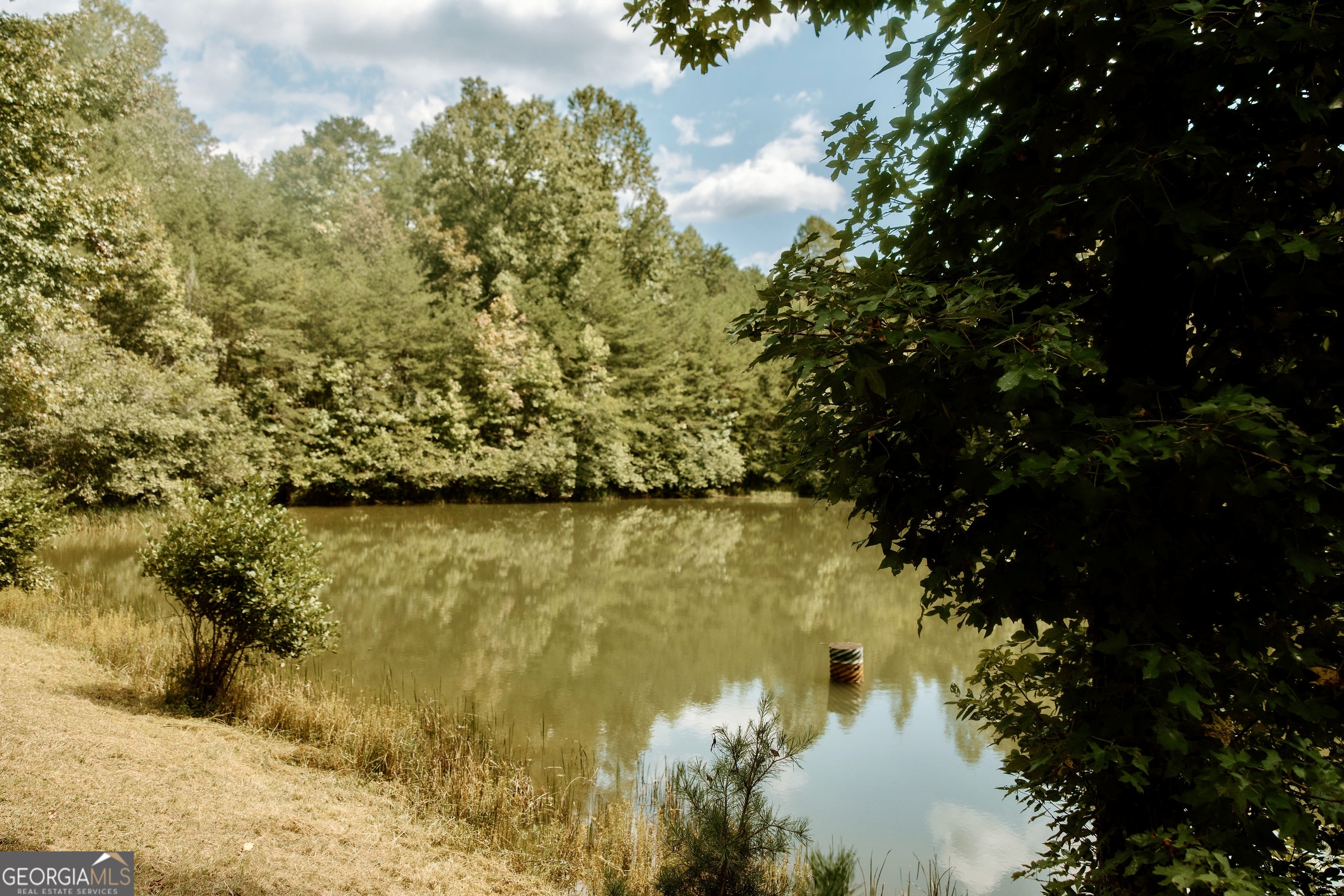 837 River Forest RUN