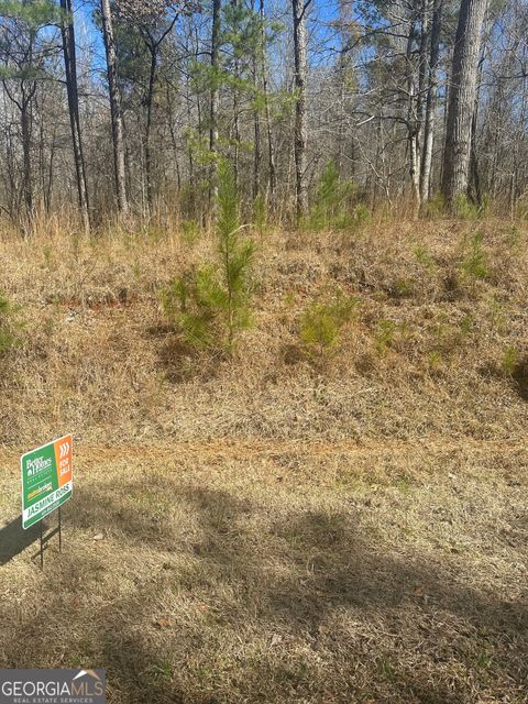 Unimproved Land in Eatonton GA 0 Bluegill Road.jpg