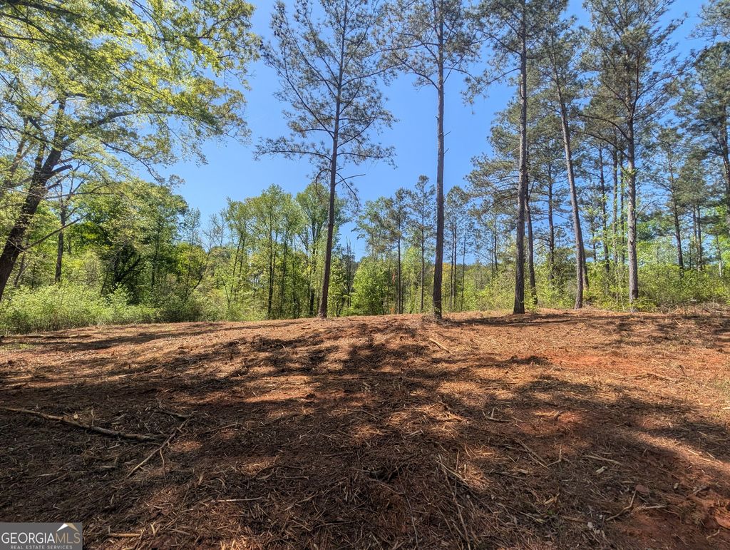 Photo of 34 Magnum Lane, Pendergrass, GA 30567 (MLS # 10741905)
