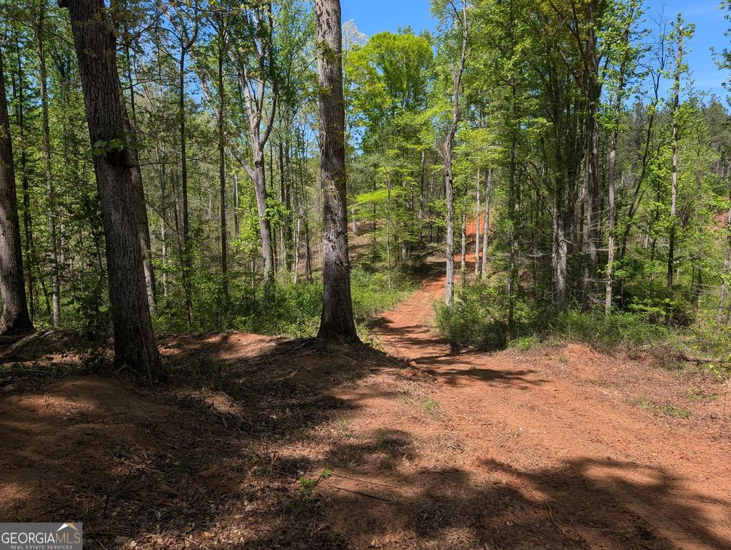 Photo of 34 Magnum Lane, Pendergrass, GA 30567 (MLS # 10741905)