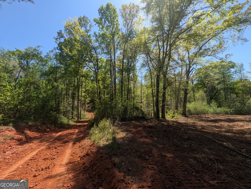 Photo of 34 Magnum Lane, Pendergrass, GA 30567 (MLS # 10741905)