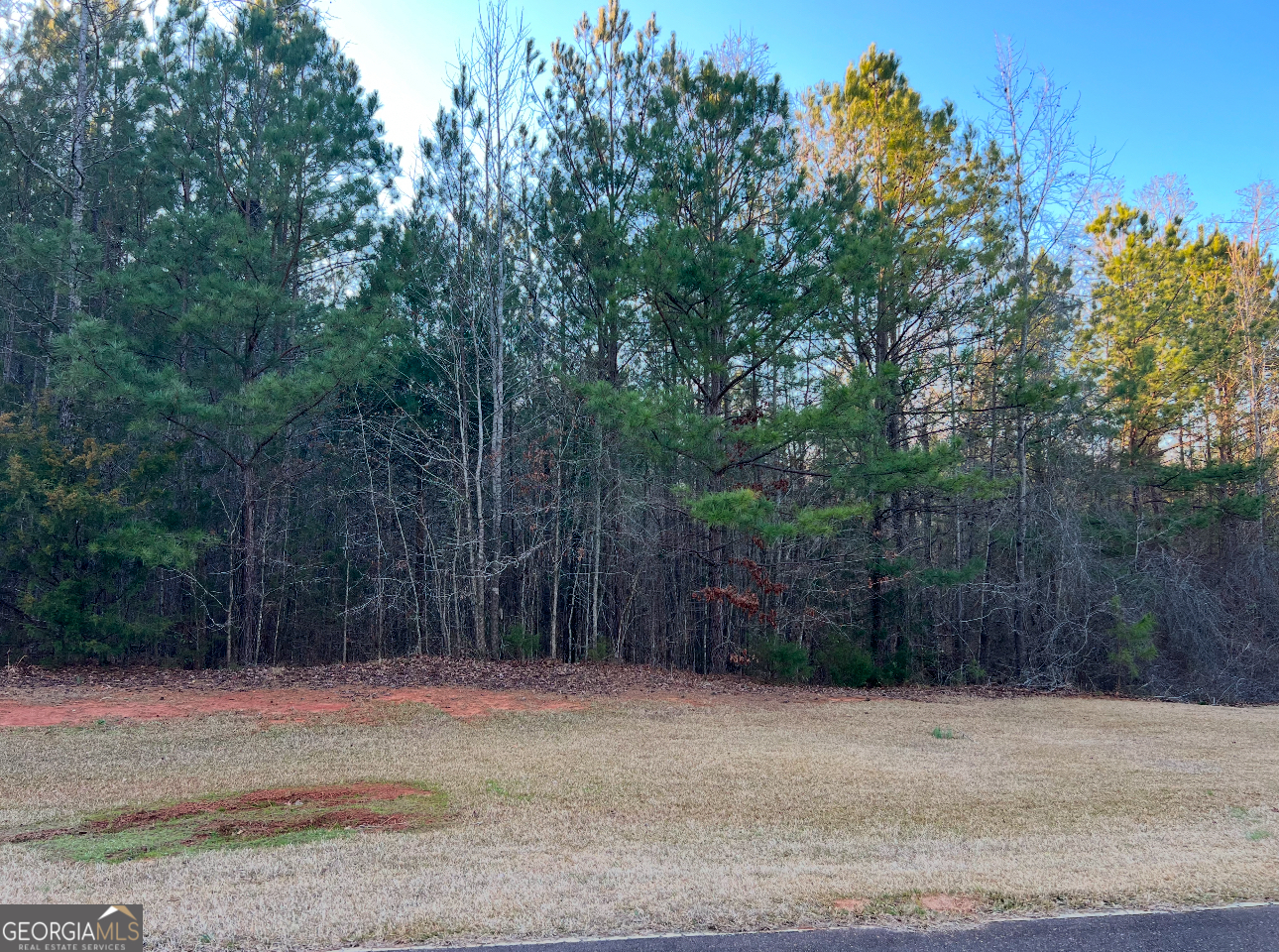 River Forest building lot. 2.3 Acres. Private lot. Conveniently located near the front entrance. River Forest is a gated community, offering a championship golf course, full service clubhouse, parks, walking trails, fitness, swim and tennis facilities.