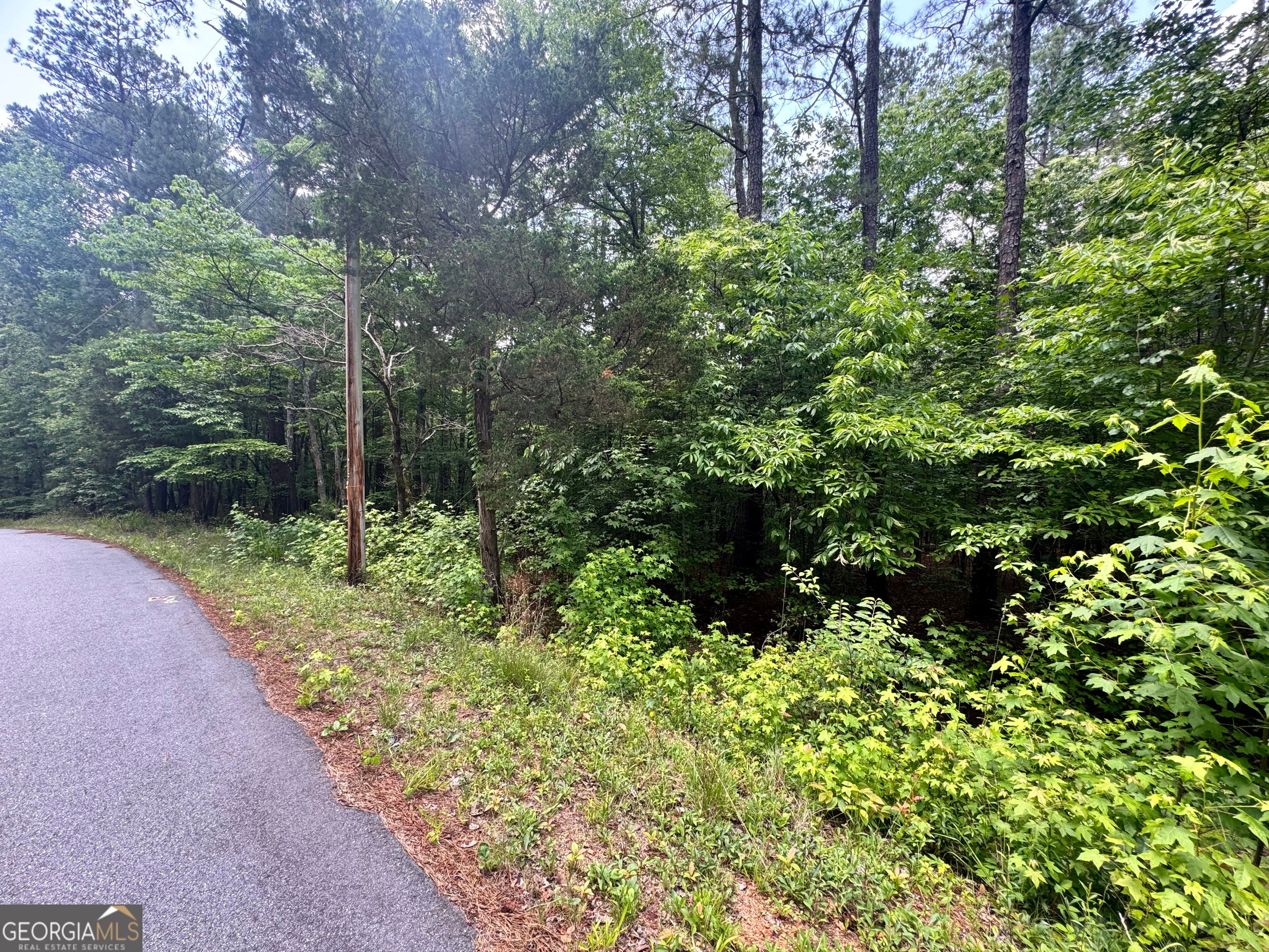 8017 Longleaf DR