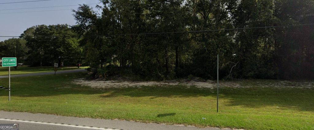 Photo of 0 Highway 121/ Whispering Pines Trail, Blackshear, GA 31516 (MLS # 10729919)